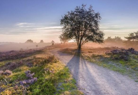Вілла Een Gezellige Chalet Met Zonnige Buitenruimte Op De Veluwe! Пюттен Екстер'єр фото