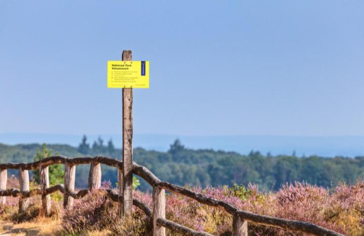 Вілла Een Gezellige Chalet Met Zonnige Buitenruimte Op De Veluwe! Пюттен Екстер'єр фото